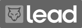 Lead Digital